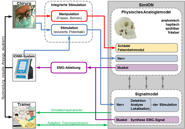 Bunte Grafik mit Beziehungen